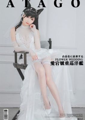 熊出没之猎鹰熊岛